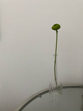Load image into Gallery viewer, Seamar Translucent Tube Vase