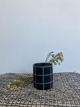 Load image into Gallery viewer, Checkmate Glasses