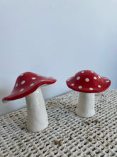 Load image into Gallery viewer, Amanita Mushroom
