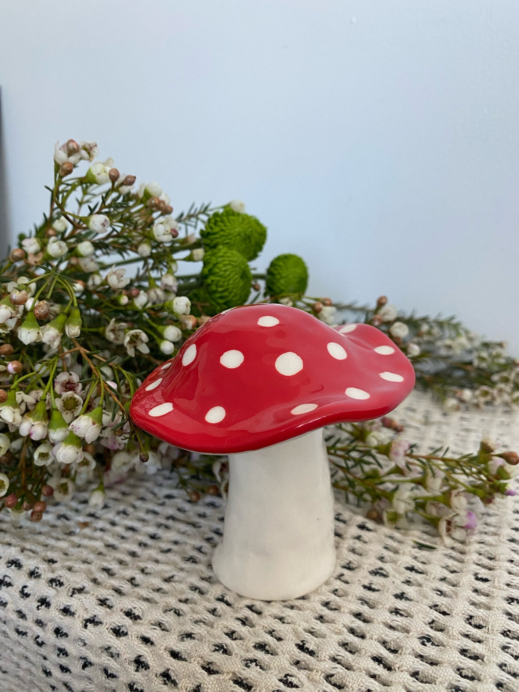 Amanita Mushroom