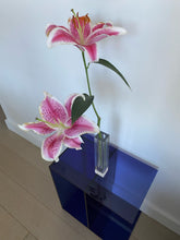 Load image into Gallery viewer, HyperHarper Nordic Flower Vase
