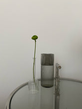 Load image into Gallery viewer, Seamar Translucent Tube Vase
