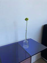 Load image into Gallery viewer, Seamar Translucent Tube Vase
